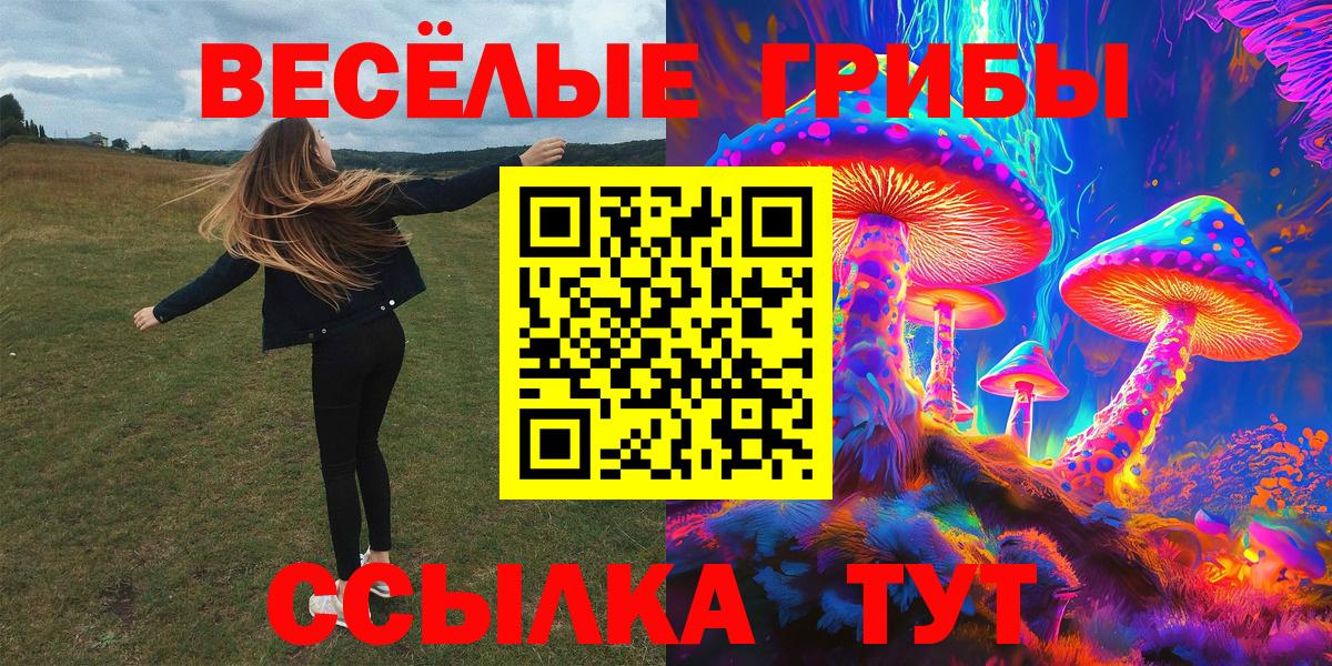 Галлюциногенные грибы Psilocybine cubensis Шелехов